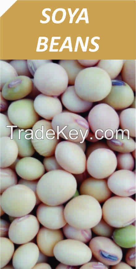 SOYA BEANS