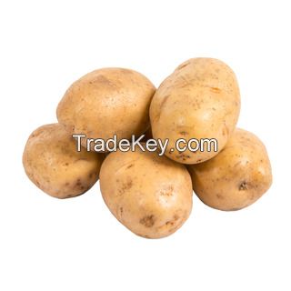 Fresh Potato