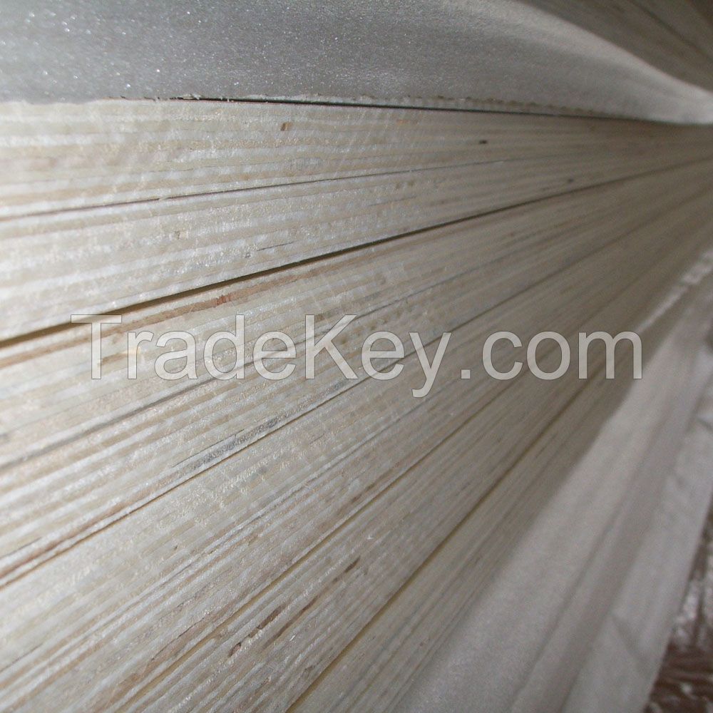Birch Plywood from Mega Industries direct sale