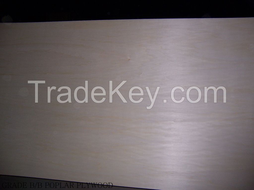 Factory wholesale poplar commercial plywood with best price