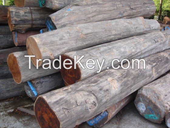 TEAK WOOD