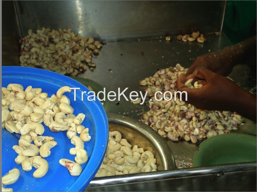 CASHEW NUT