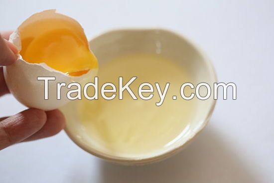 Egg Yolk Powder 