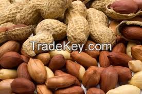 Best Quality Peanut From Gabon