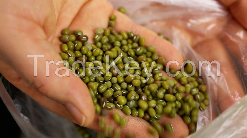 Quality Kidney beans, Mung beans, Soybeans, Lentils, Chickpeas and Other Beans Products For Sale