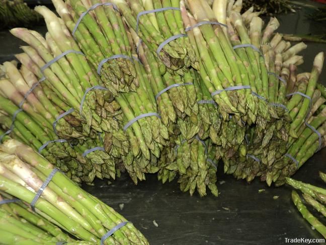 ASPARAGUS