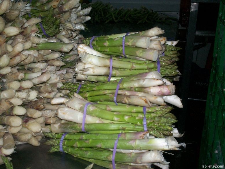 FRESH GREEN ASPARAGUS