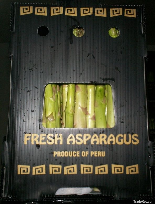 FRESH GREEN ASPARAGUS