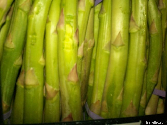 Fresh Green Asparagus