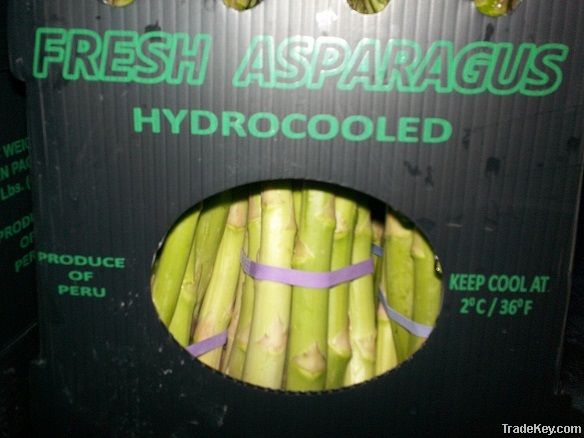 Fresh Green Asparagus