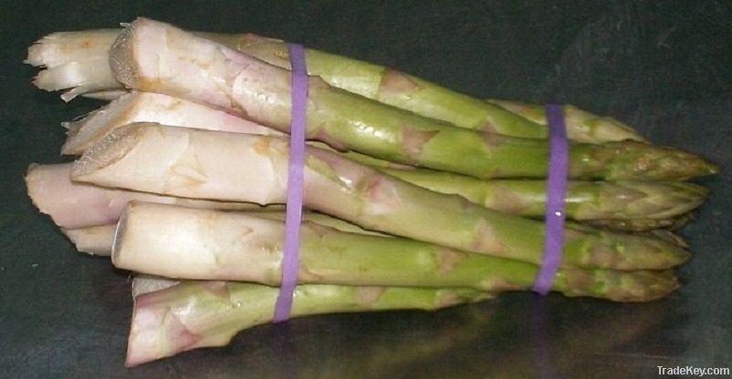 FRESH GREEN ASPARAGUS