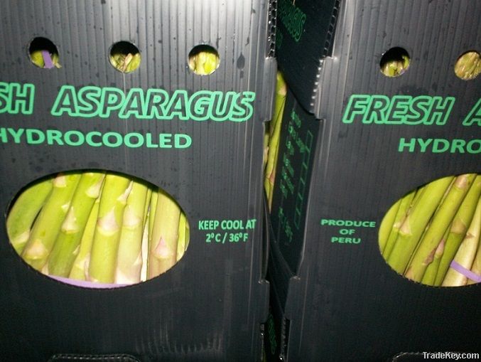 FRESH GREEN ASPARAGUS