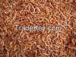 Fish, Dried Fish