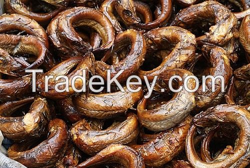 Cary Fish | Dried Cary Fish