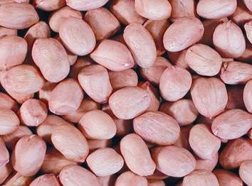 Long shape, round shape peanut kernels