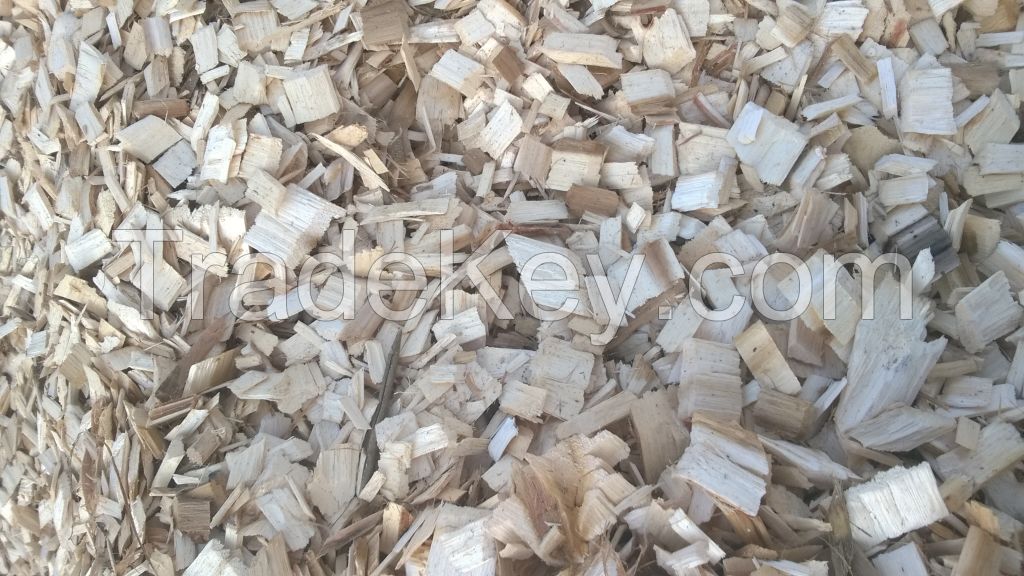 VIETNAM ACACIA WOOD CHIPS 