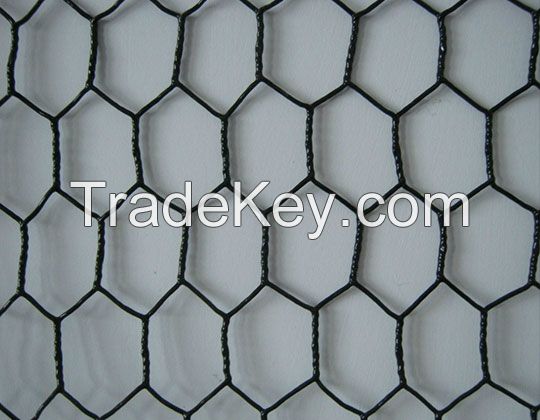 Hebei Hexagonal Wire Netting/hexagonal wire mesh