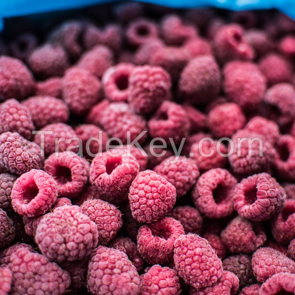 Real Red Raspberries