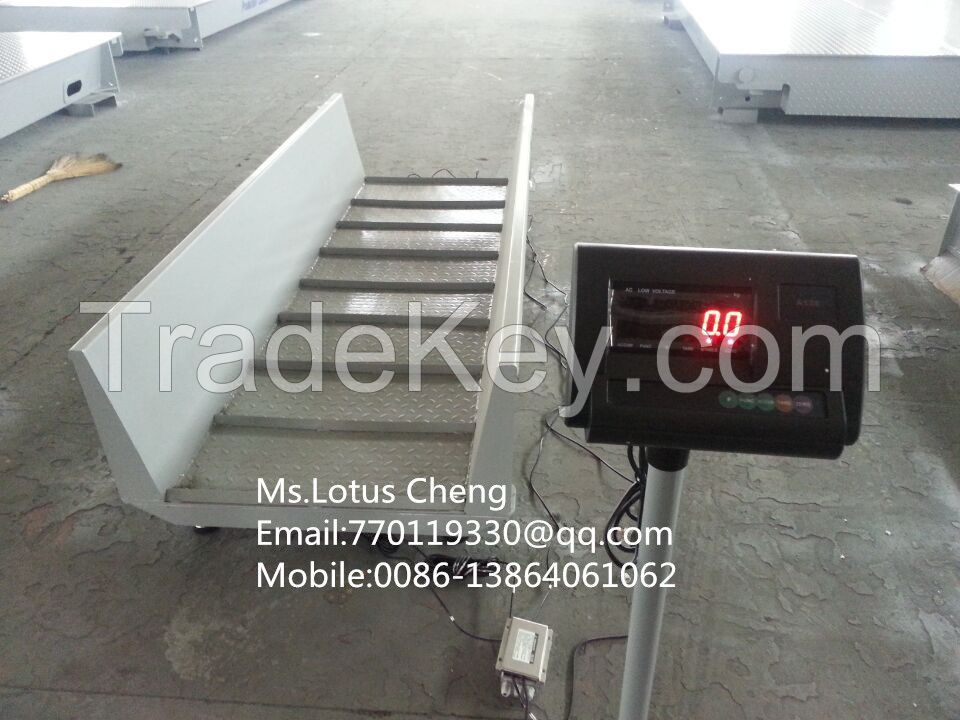 Animal weighing scale, livestock weighing scale, pig weighing scale, chute scale