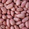 CHINESE GROUNDNUT PEANUT