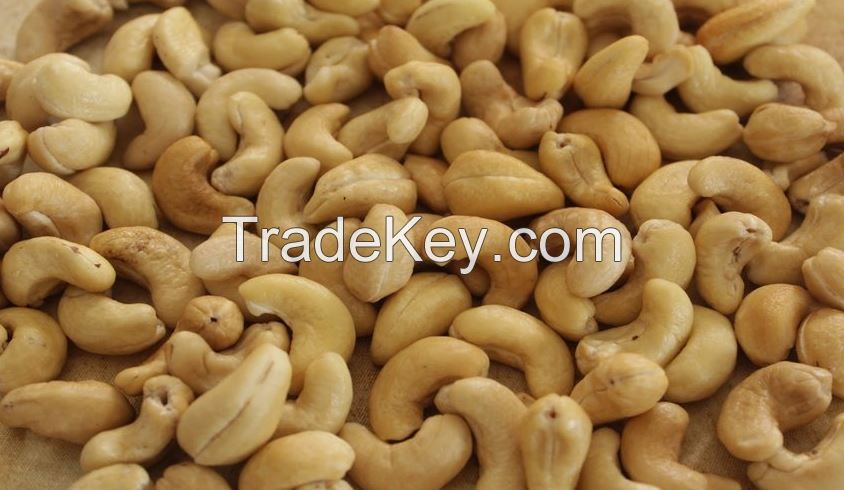 Cashew Nut