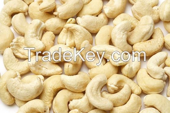 Cashew Nut