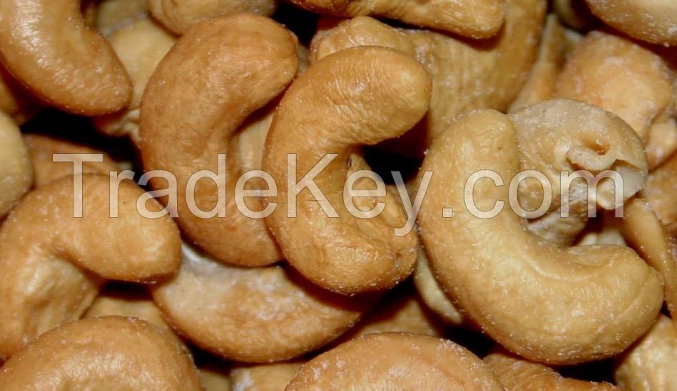 Cashew Nut