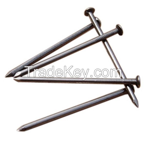 Polished Common Nail Wire Nail Iron Nail from Factory