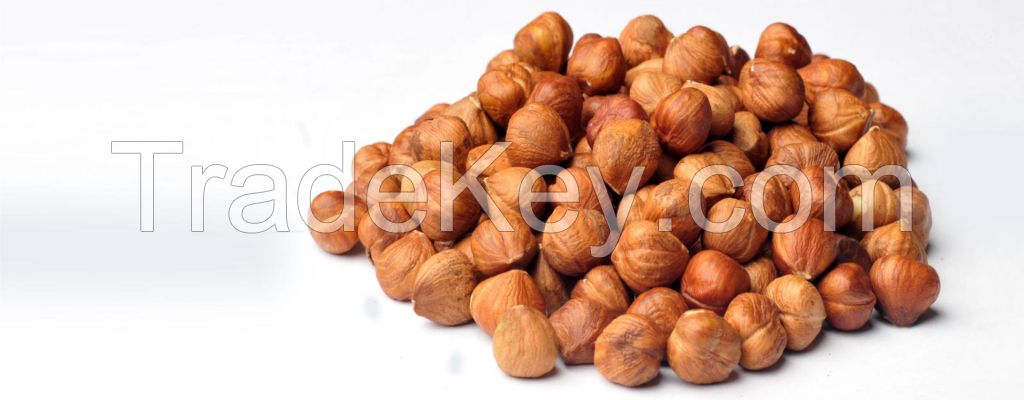 Hazelnuts Natural Shelled