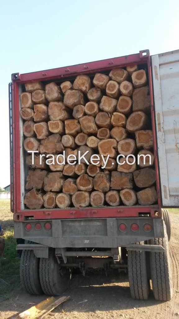 teak wood logs