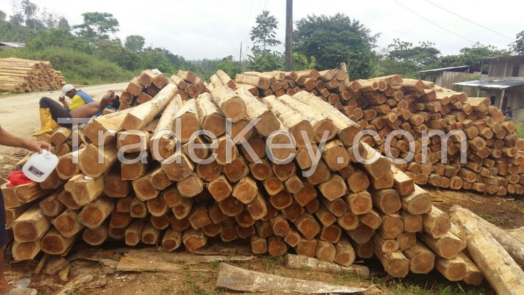 teak wood logs