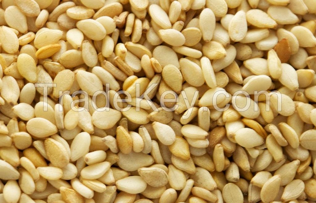 Sesame Seed