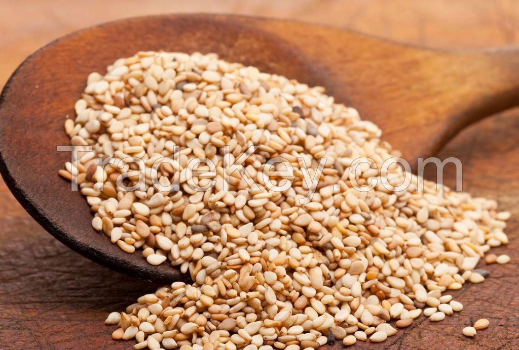 Sesame Seed