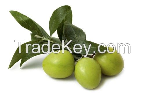 Olive leaf Extract