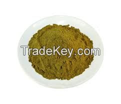 Olive leaf Extract