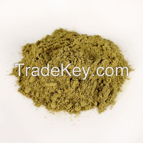 Olive leaf Extract