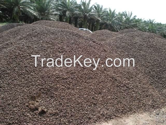 Palm Kernel Shells