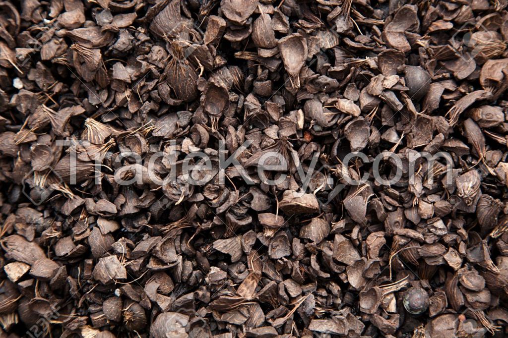 Palm Kernel Shells