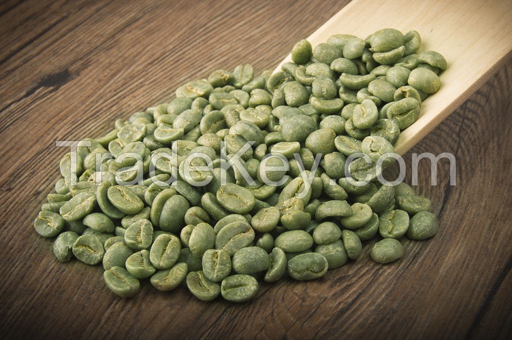 Angola Gaxito Robusta green coffee beans