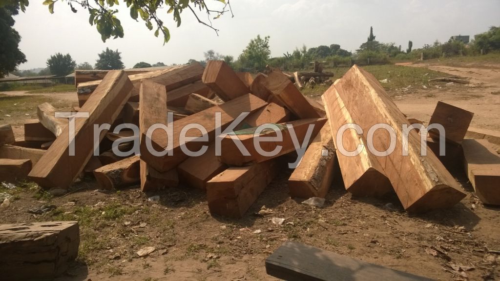 Cashew Nuts, Sesame seeds, Palm oil, Cocoa, Fresh soybean, Logistics,