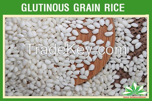 GLUTINOUS RICE - VIETNAM RICE - TOP QUALITY