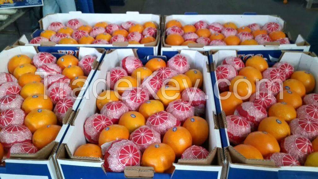 fresh orange ,fresh strawberries