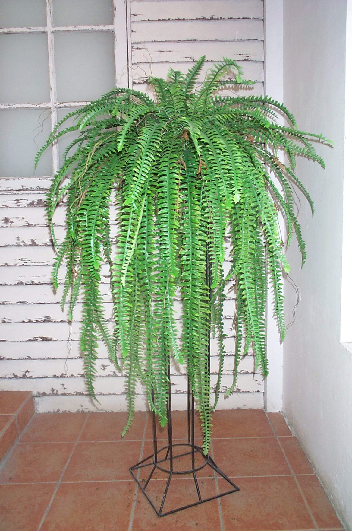 Artificial Fern