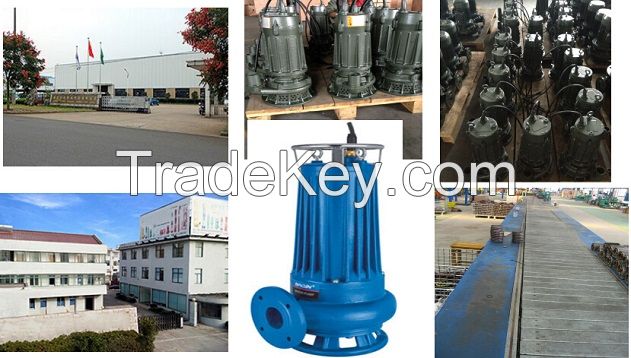 WQAS Sewage Cutter Pump 