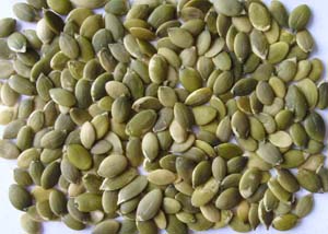 Pumpkin Seeds