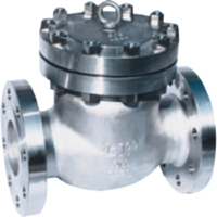 Check Valve