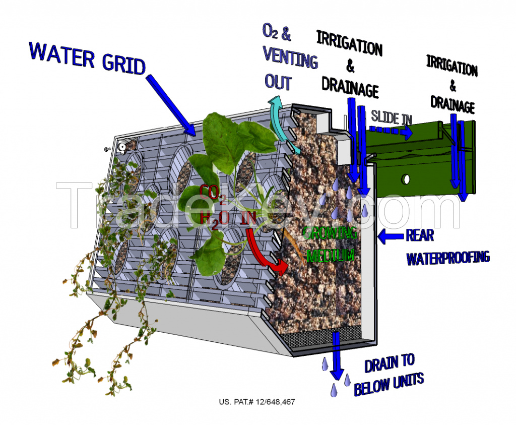 ASCEND Modular Living Wall System