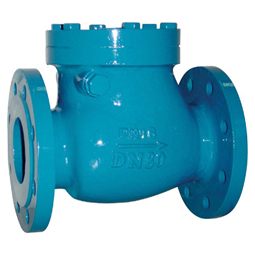 check valve