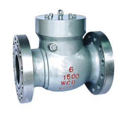 check valve