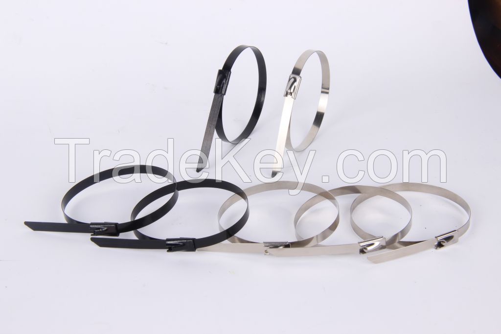 Stainless Steel Epoxy Coated Cable Tie-Ball Lock Type